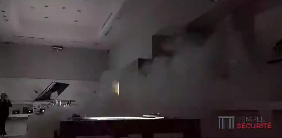 Système anti-cambriolage pour magasin avec brouillard de sécurité